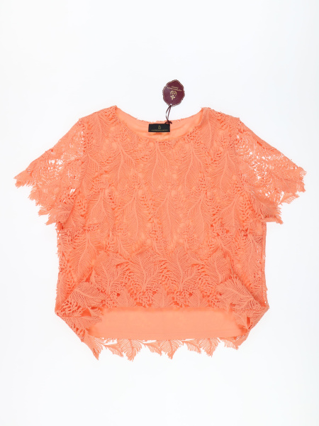 3493 (2) Alfredo Pauly